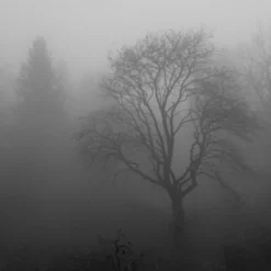 Seasonal Affective Disorder and CBD