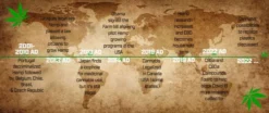 World Map