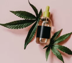 CBD Oil Tincture