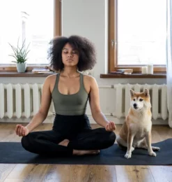 Meditation